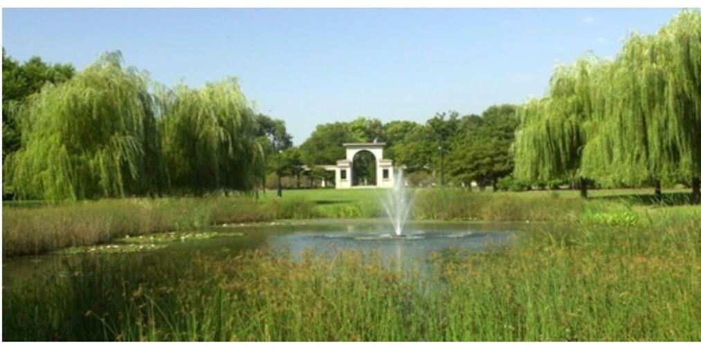 Perfect Place To Enjoy The City Or Just Relax Chicago Eksteriør billede